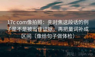 17c com像拍照：先对焦这段话的例子是不是被当作证据，再把量词补成区间（像给句子做体检）