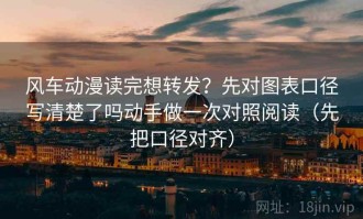 风车动漫读完想转发？先对图表口径写清楚了吗动手做一次对照阅读（先把口径对齐）